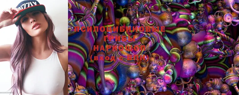 Псилоцибиновые грибы MAGIC MUSHROOMS  цена   Тосно 